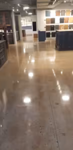 E11CD11E 2A2B 49AF 9E88 0C36646F39C2