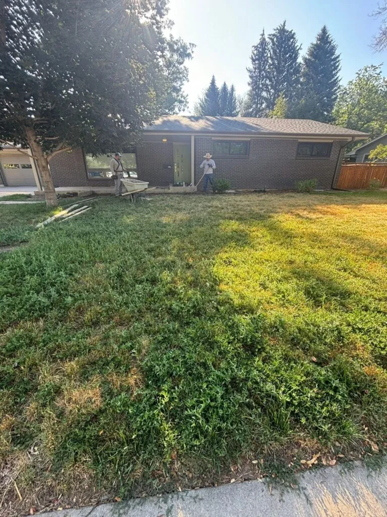 Residential front yard with no sidewalk, overgrown grass in Fort Collins Colorado